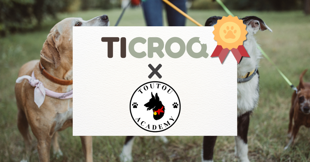 💚 Ticroq × My Toutou Academy : une collaboration pleine de sens au service du bien-être canin 🐾