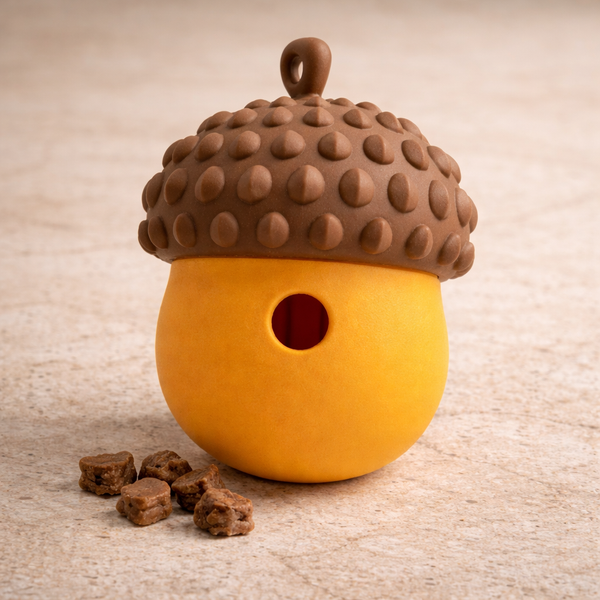 🌰 Ti’gland de fouille