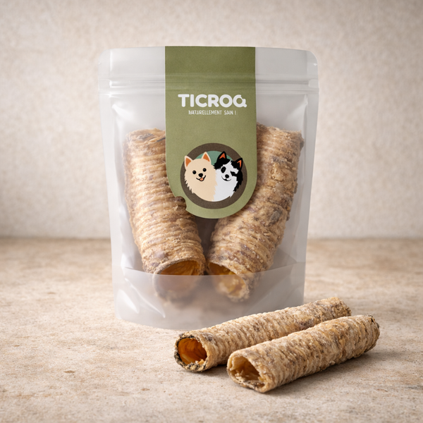 🐪 Trachées de chameau