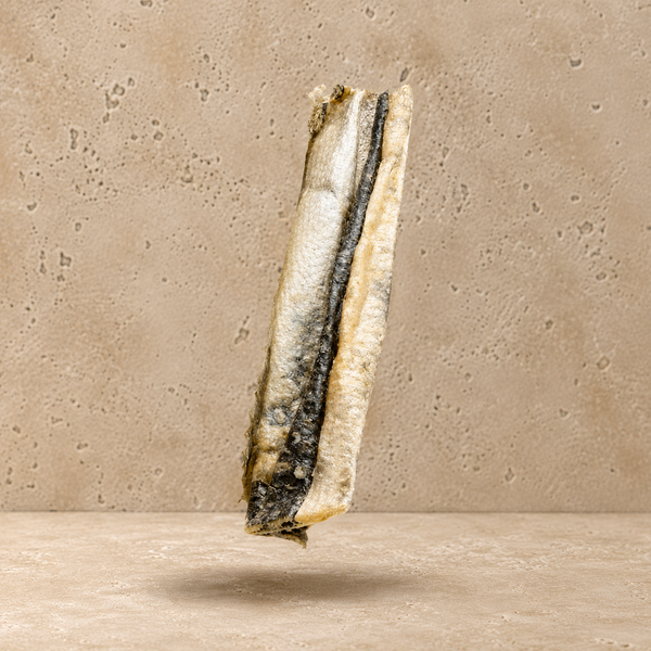 PEAU DE SAUMON 30 CM TICROQ FRIANDISE MASTICATION SAINE ET NATURELLE TICROQ