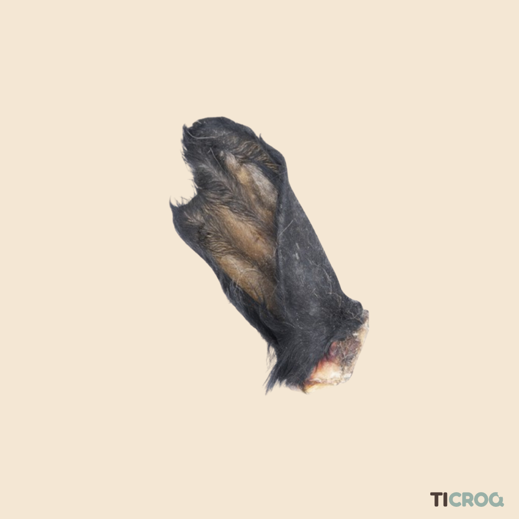 Oreilles de Bœuf avec Poils - Santé Dentaire et Digestion Naturelle - Ticroq