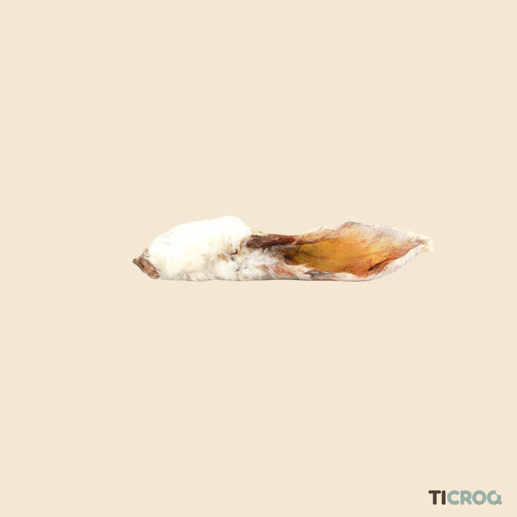 Oreilles de lapin avec fourrure Ticroq - Friandise naturelle pour chiens, idéale pour une mastication prolongée et bénéfique pour la santé dentaire