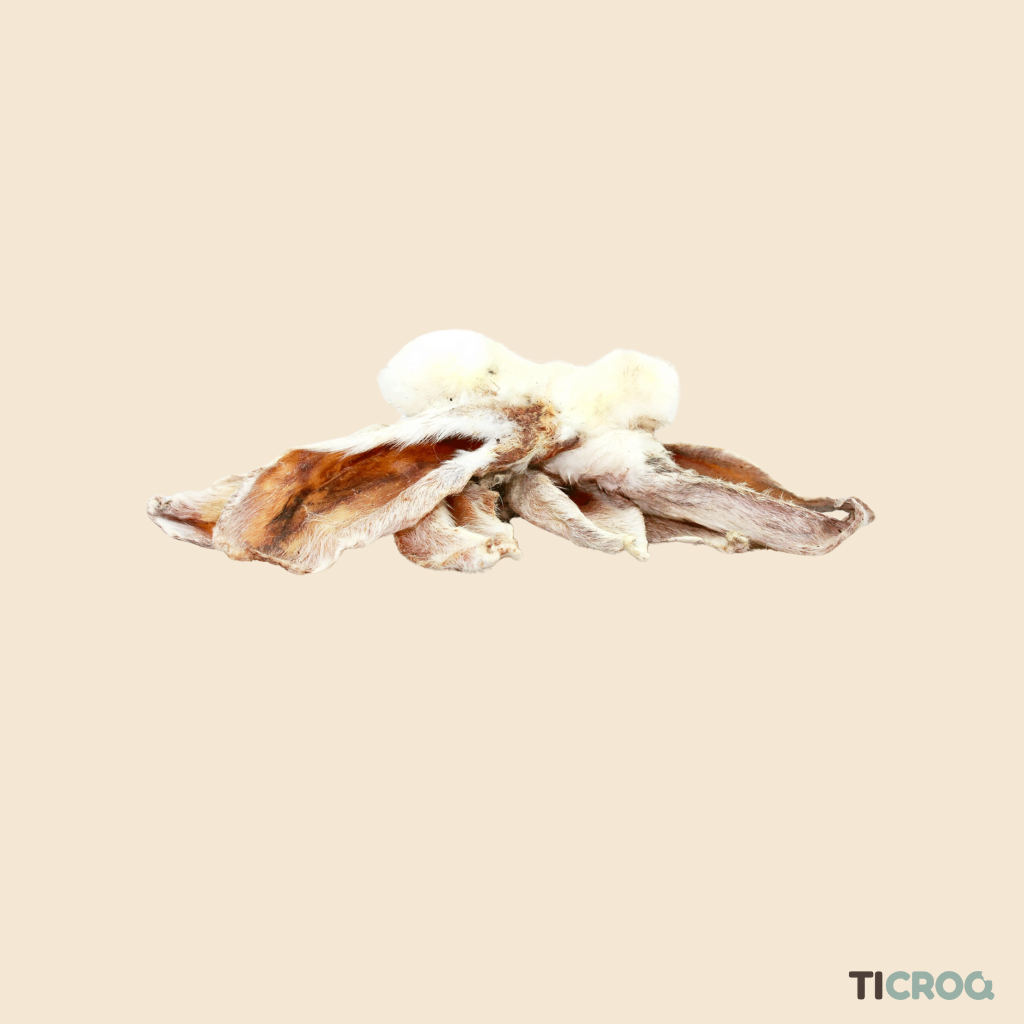 Oreilles de lapin avec fourrure Ticroq - Friandise saine et savoureuse pour chiens, parfaite pour entretenir les dents et satisfaire leur besoin de mastication